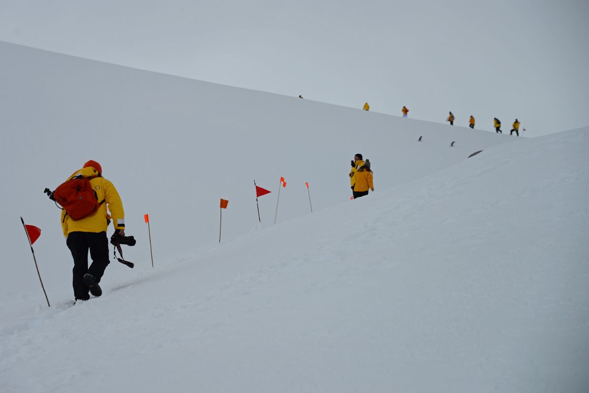 06A Climbing The Snow Slopes At Neko Harbour On Quark Expeditions Antarctica Cruise